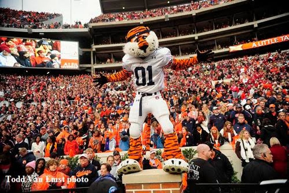 Top 10 Mascots In Sports