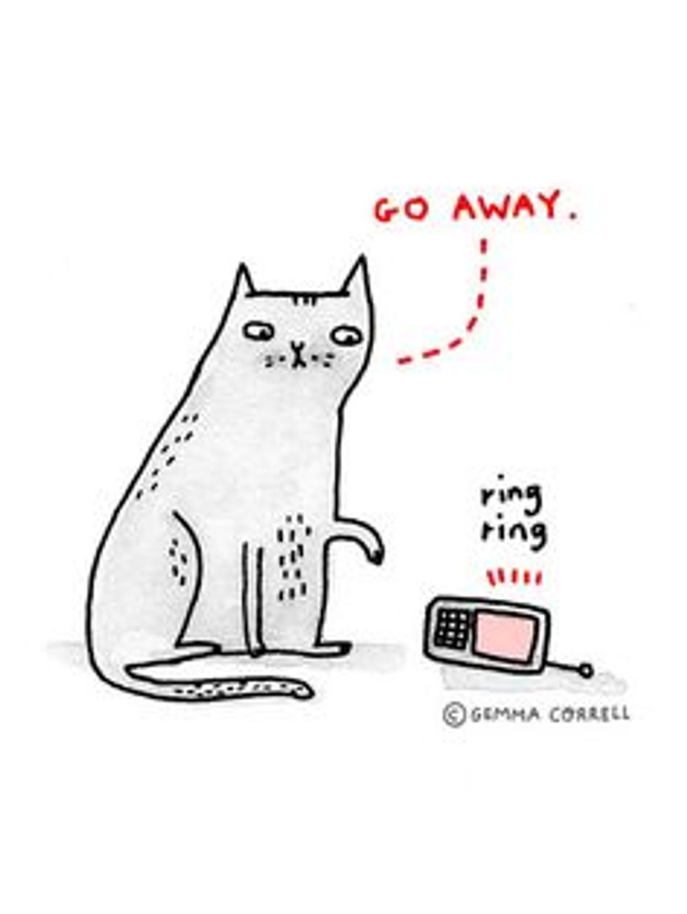 22 Introvert Things As Told By Cats