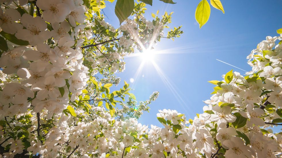 5 Reasons Why Spring is the Best Season