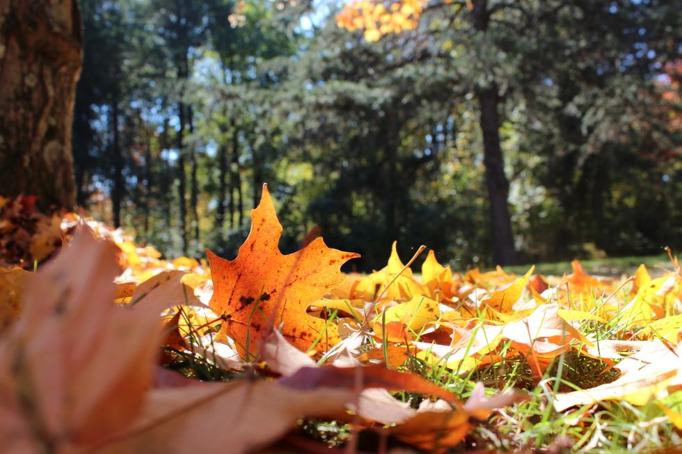 10 Things You Need On Your Fall Bucket List