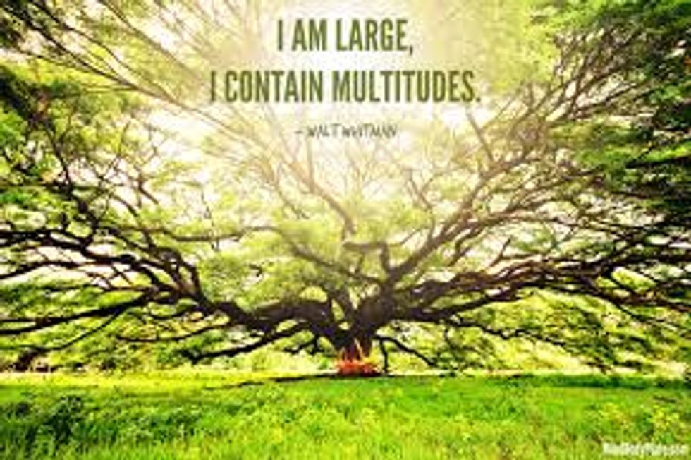 "I Contain Multitudes"