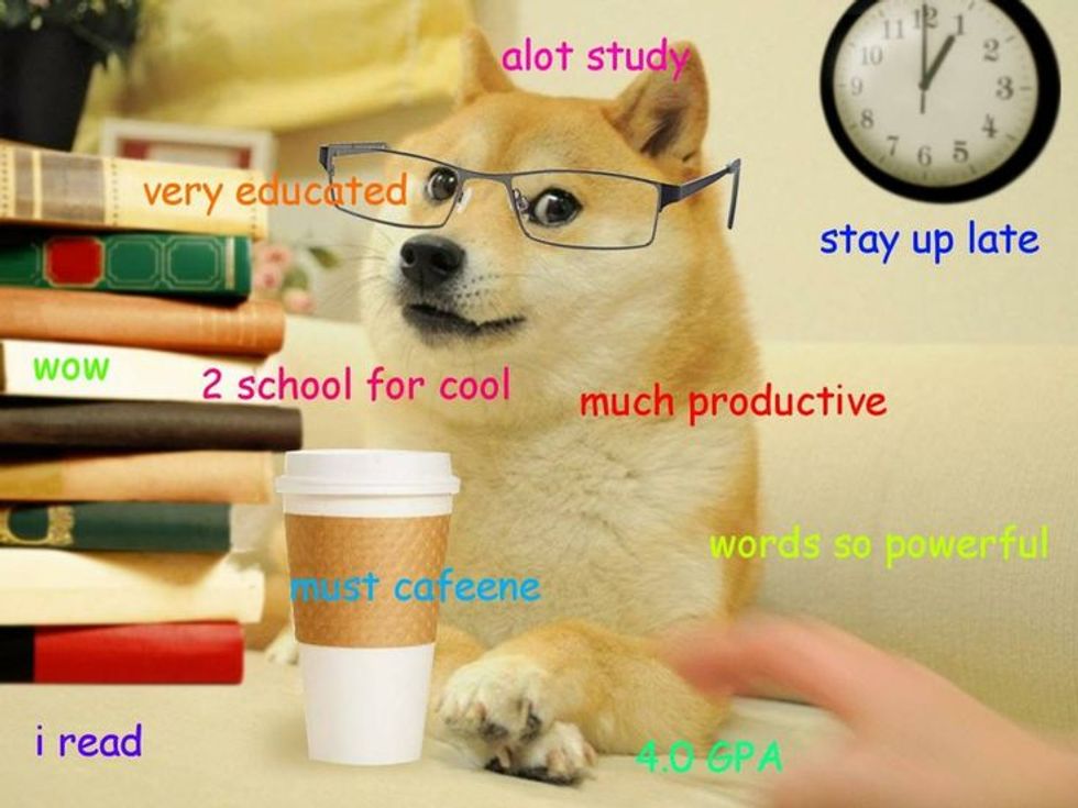 Wow – Such College – Much Doge.