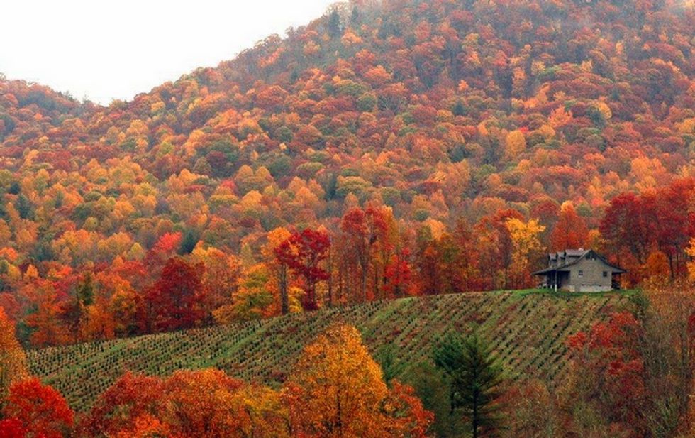 15 Signs You Grew Up In East Tennessee