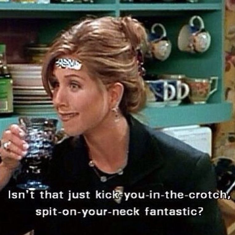 Isn't that just kick-you-in-the-crotch, spit-on-your-neck fantastic? -  Rachel Green Throw Pillow