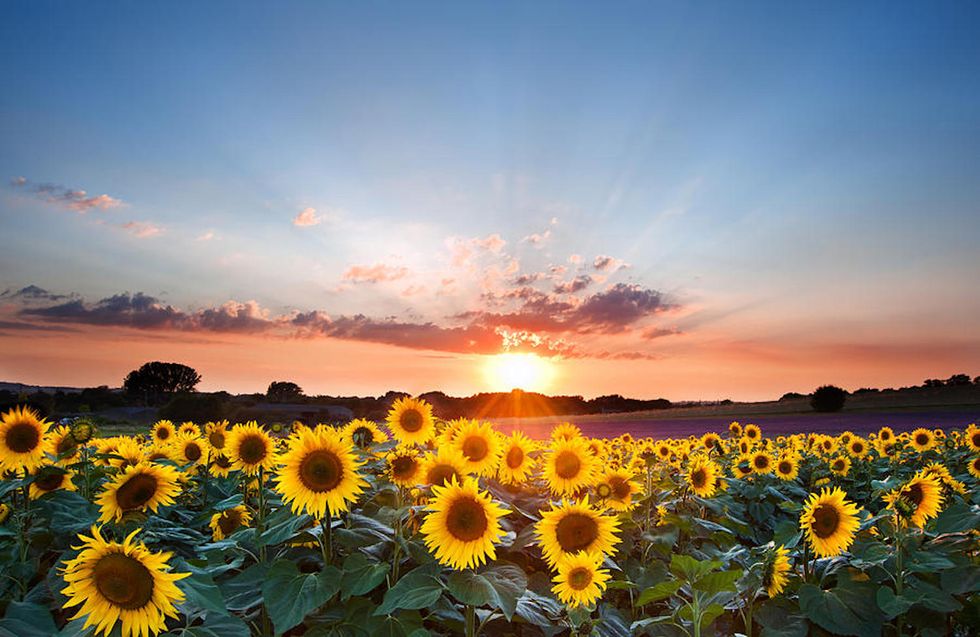 How Will You Savor The Last Bits Of Summer?