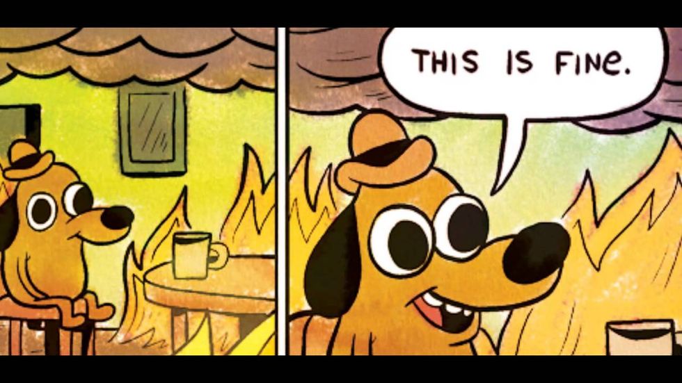 7 Times The "This Is Fine" Dog Accurately Described College Life