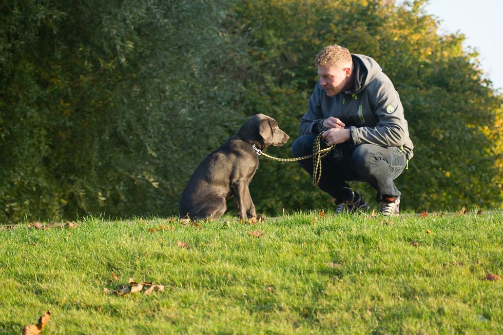 21 Signs You Are Definitely A Dog Person