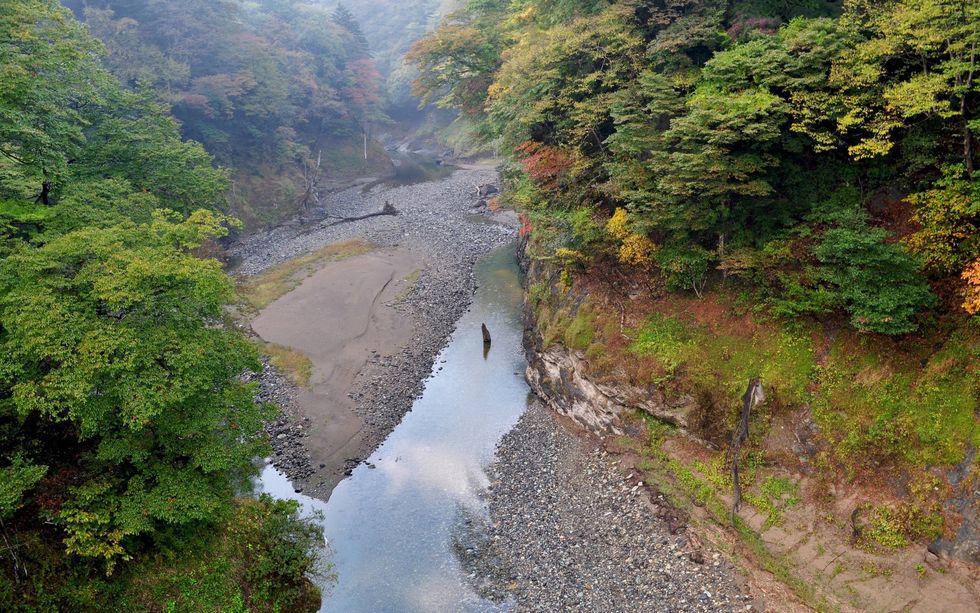 Poetry On Odyssey: Where Did All Our Rivers Go?