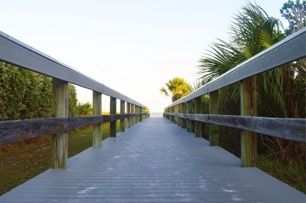 Discovering In Sanibel