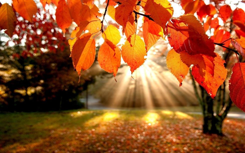 7 Things We Can't Wait For Autumn To Bring