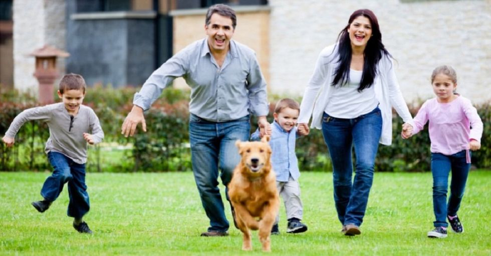 8 Ways You Know Your Pets Are Family