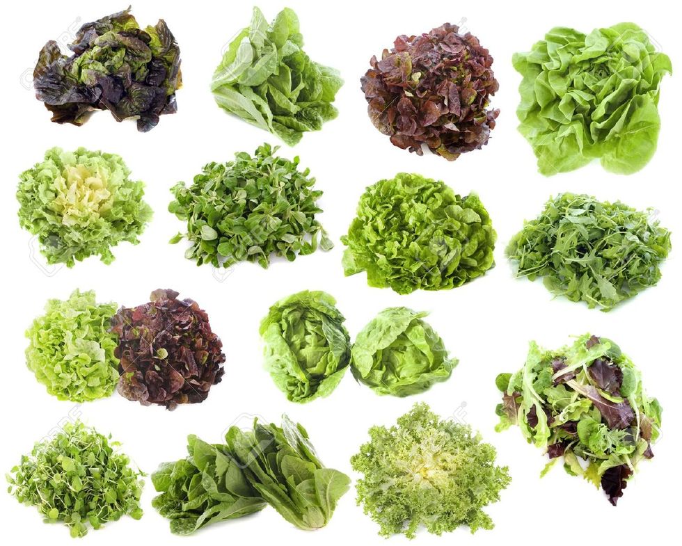 The Healthiest Lettuces and Salad Greens, Ranked Kale and Spinach