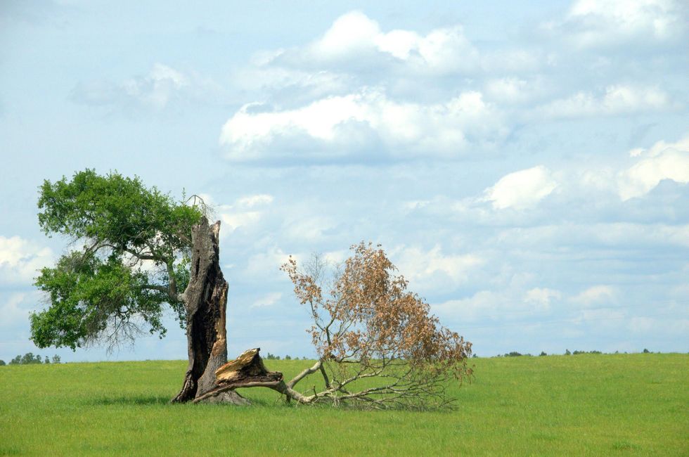 Living In Your Power Amidst The Storms Of Life