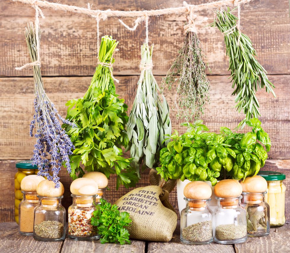 20 Natural Herbal Remedies Used Throughout History