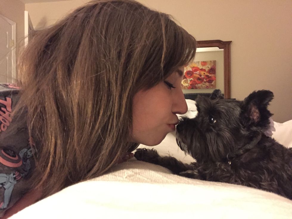 8 Reasons Having A Small Dog  Is The Best