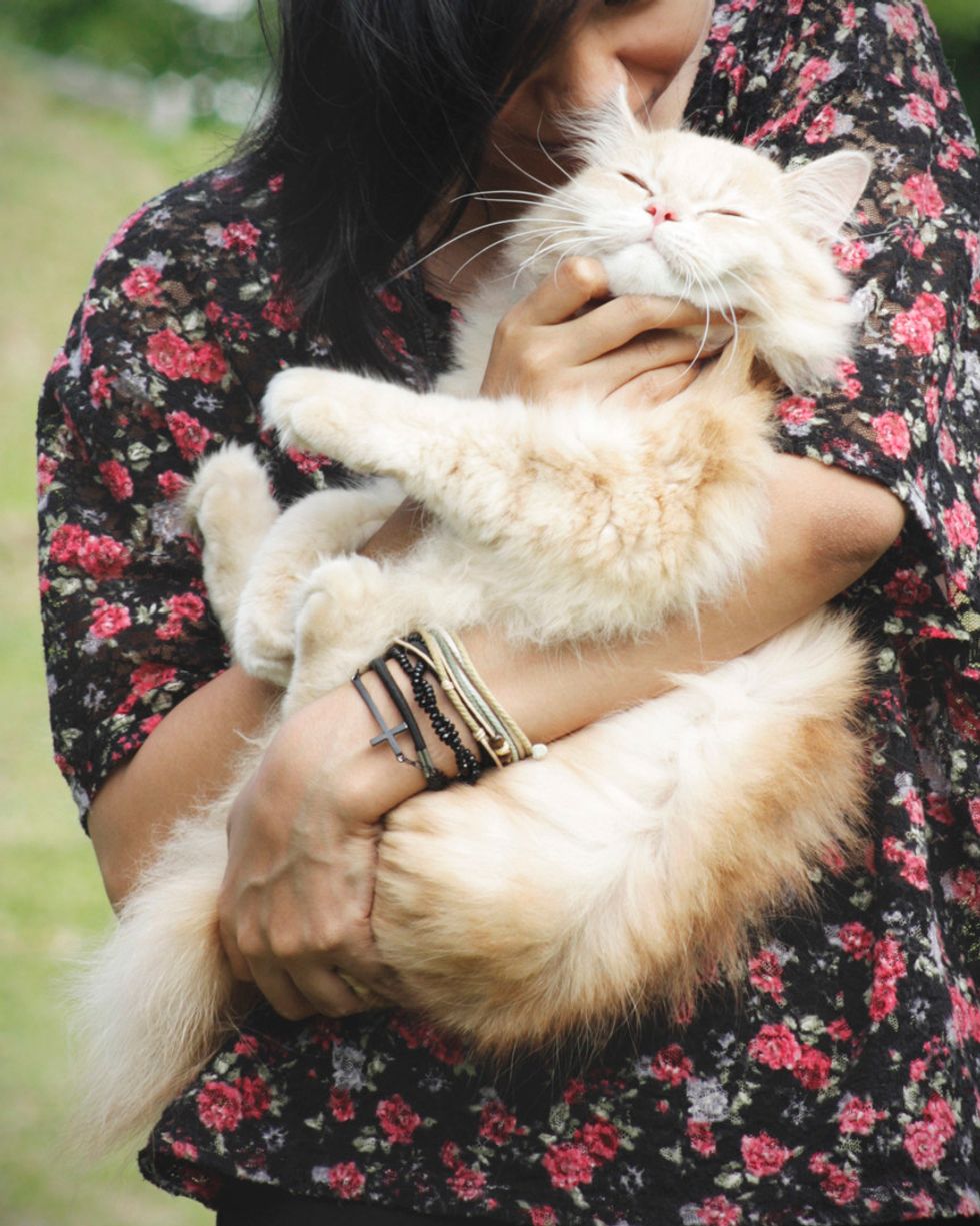 22 Signs You're A Cat Parent