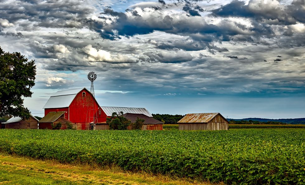 10 Things You Know If You're From The Country