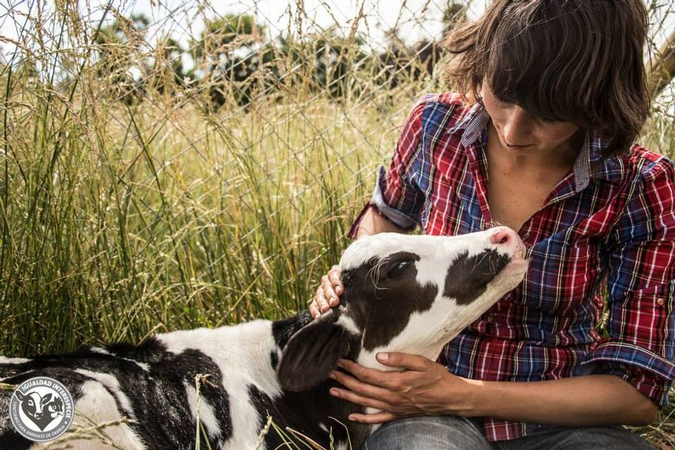 What It's Really Like Being A Vegetarian