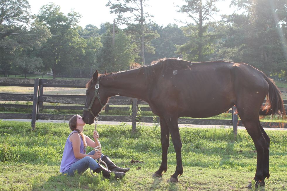 How I Overcame My Fear of Horses