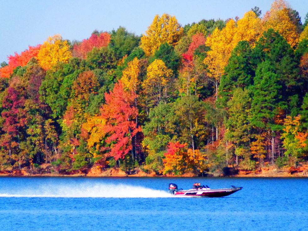 8 Reasons Why Fall Is Best In North Carolina