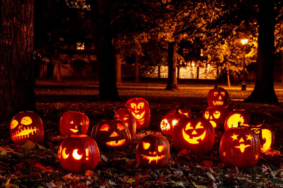 7 Reasons Why October Is The Best Month