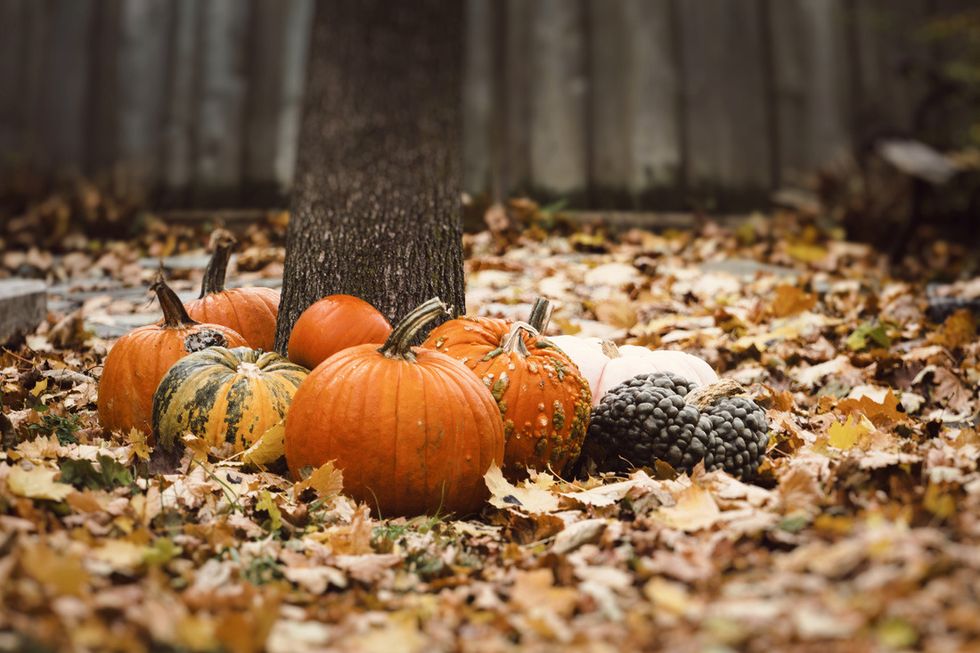 20 Signs That'll Make You Admit Your Obsession With Fall