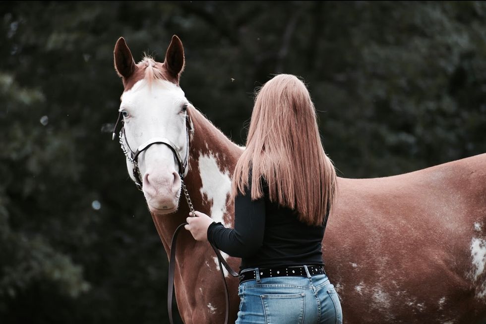 An Open Letter To The Horse Crazy Girl