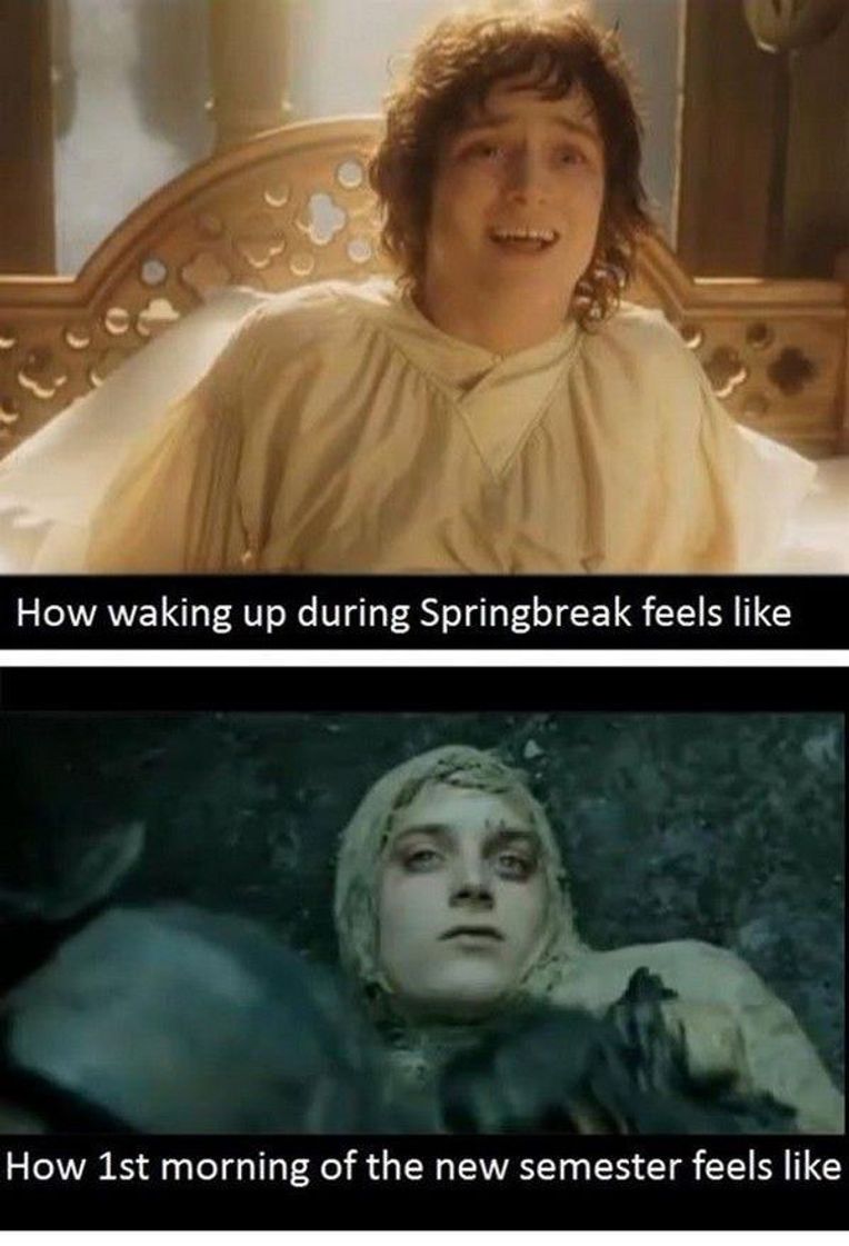 finals meme lord of the rings