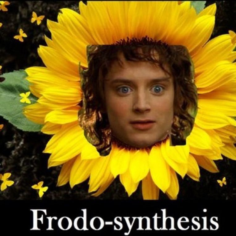 finals memes lord of the rings