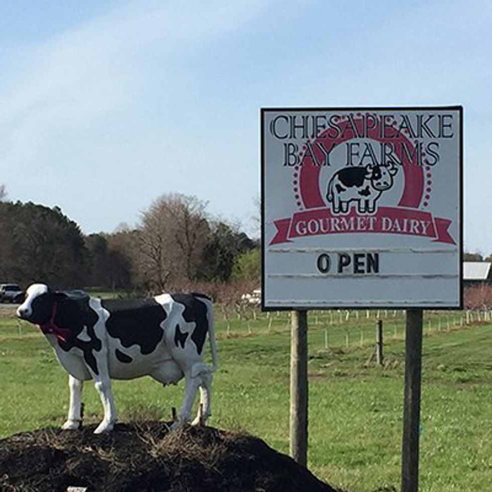 The Maryland Ice Cream Trail