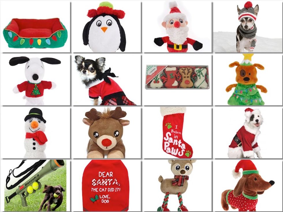 The Best Christmas Gifts & Toys for Dogs
