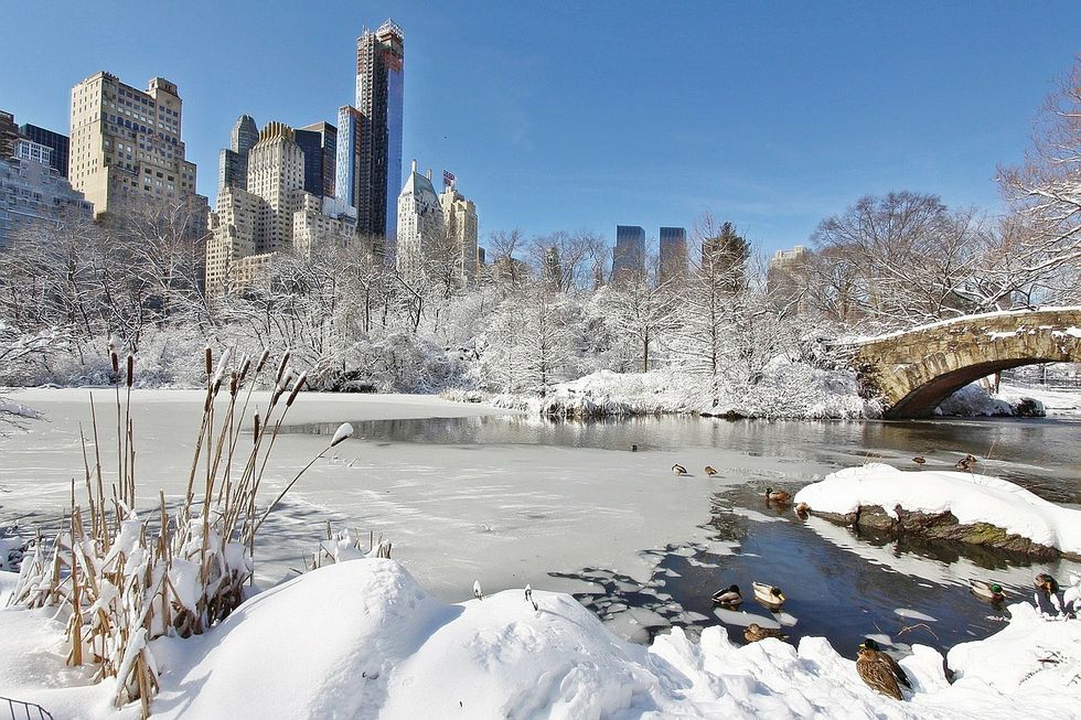 8 Reasons Why New York Is Best In The Winter