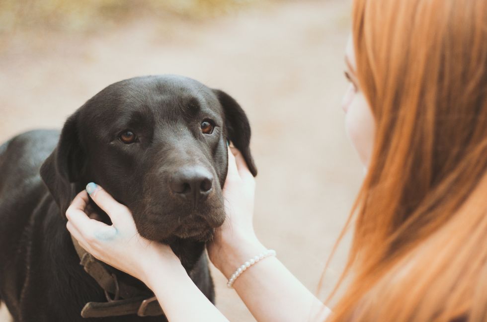 7 Reasons To Adopt Your New Four-Legged Friend Instead Of Buying Them