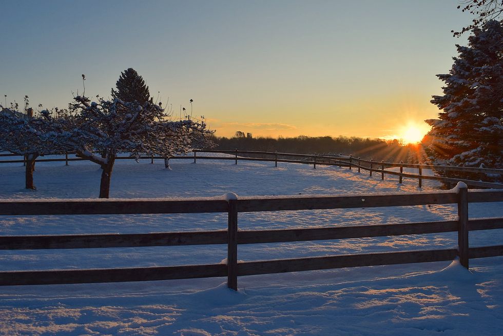 7 Reasons Why Judging Southerners For Freaking Out About Snow Is NOT OK