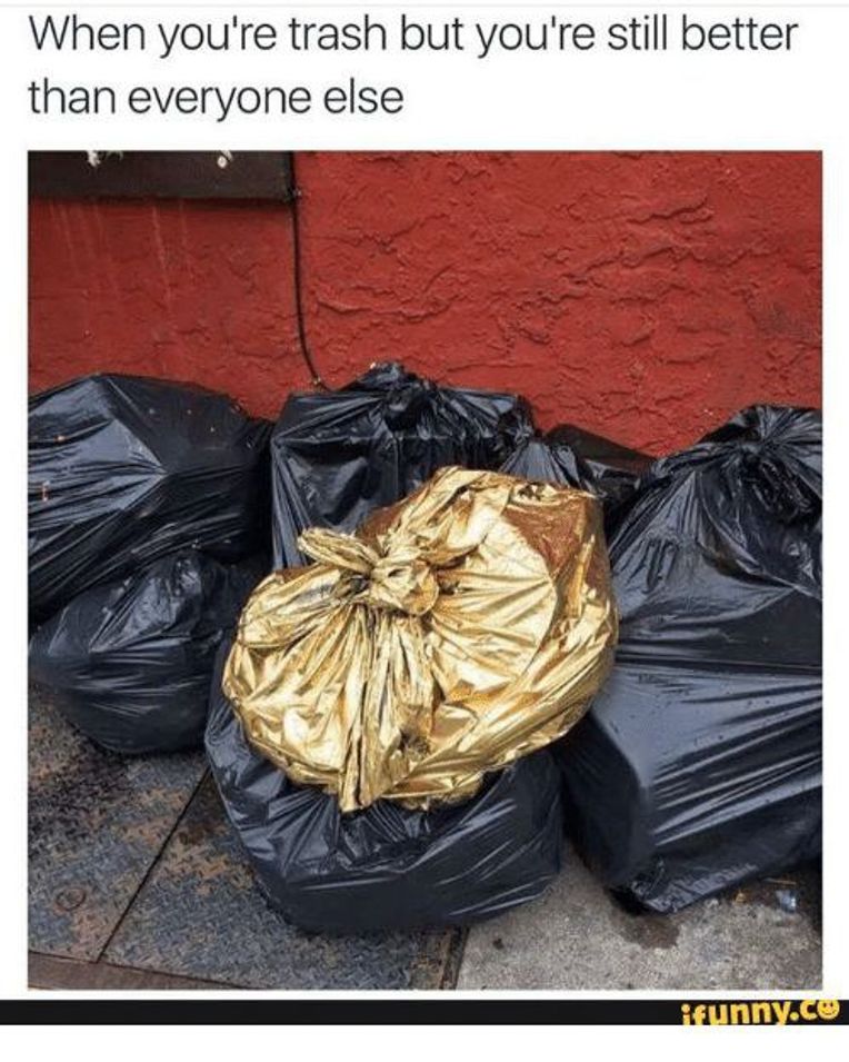 Are you a Golden Bag of Trash?. No you probably are not., by J3k, Observations