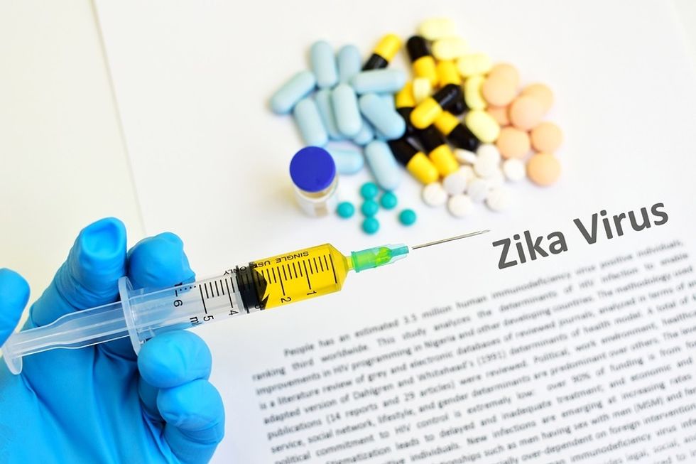 Zika Virus Vaccine Market Overview Till 2024 | Industry Size, Share and Forecast