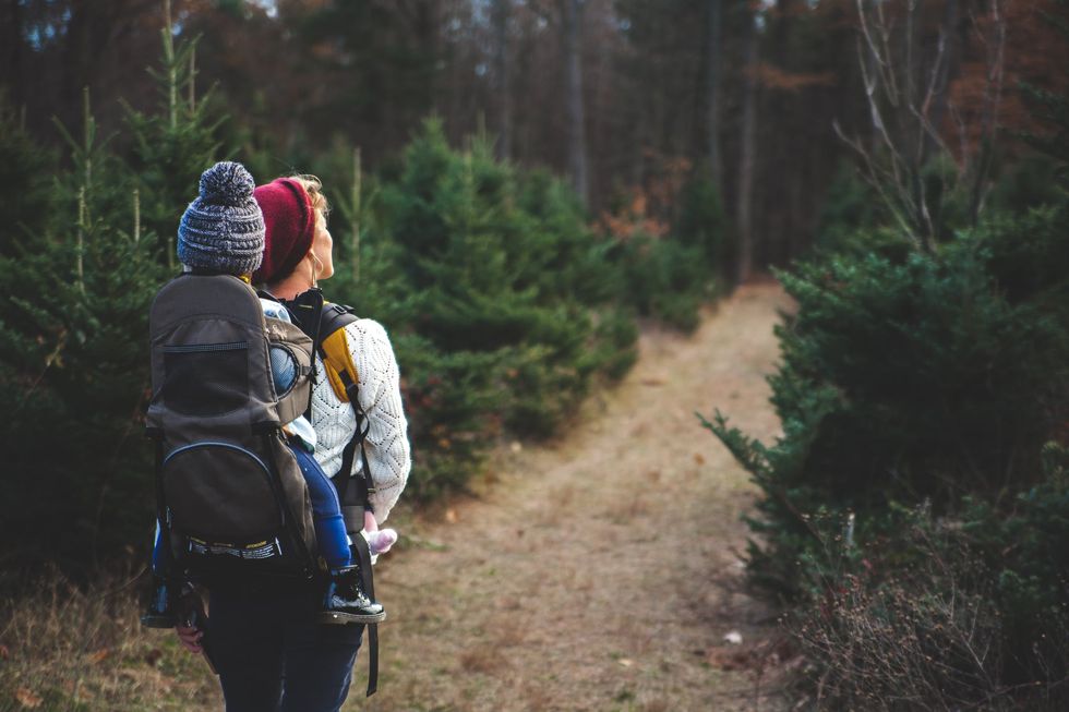 5 Family Friendly New Hampshire Hikes