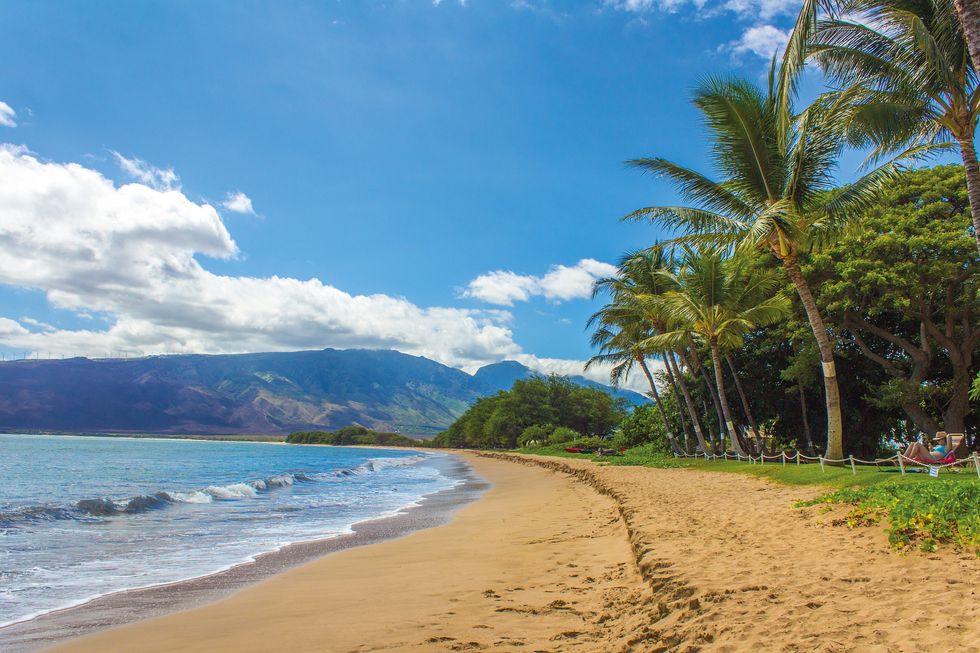 Hawaii Is Taking It's First Steps And Become Carbon Neutral