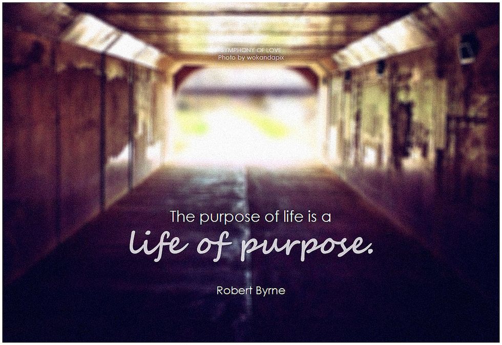 Finding My purpose