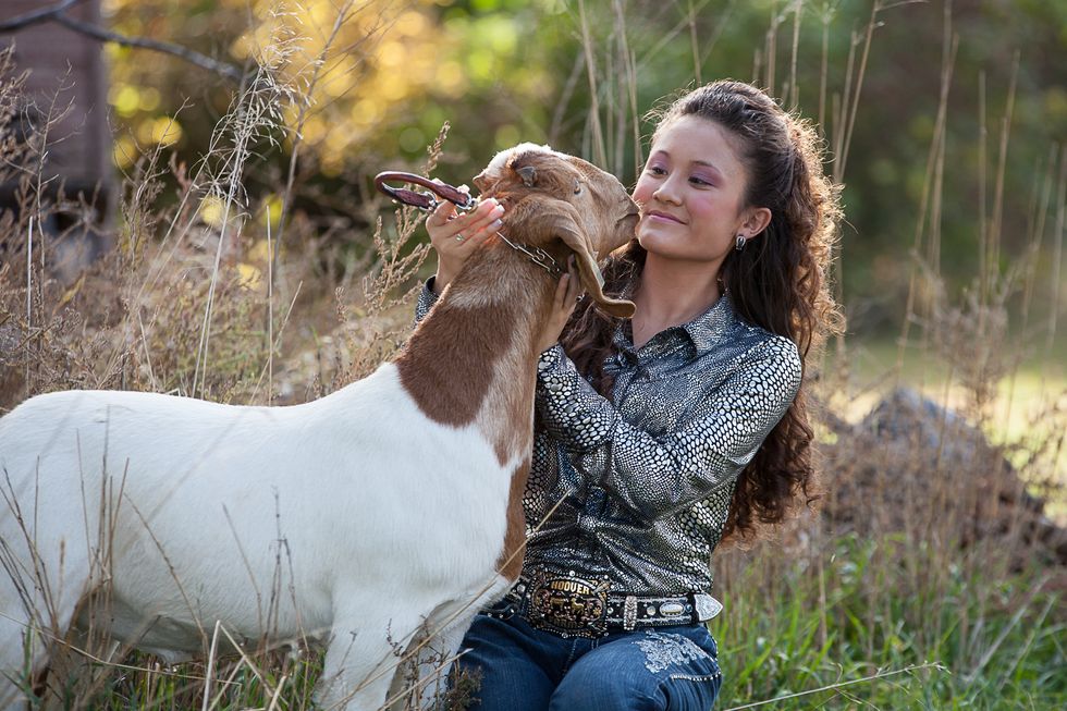 The 10 Commandments EVERY Stock Show Parent Must Learn And Live By