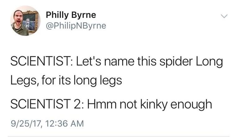 daddy-long-legs-twitter-joke » TwistedSifter