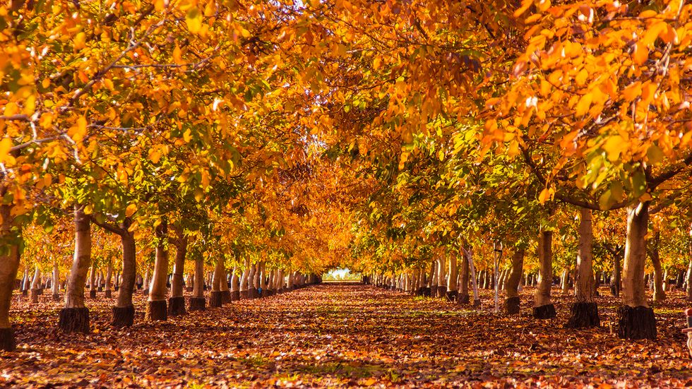 41 Reasons Fall is the Best Season