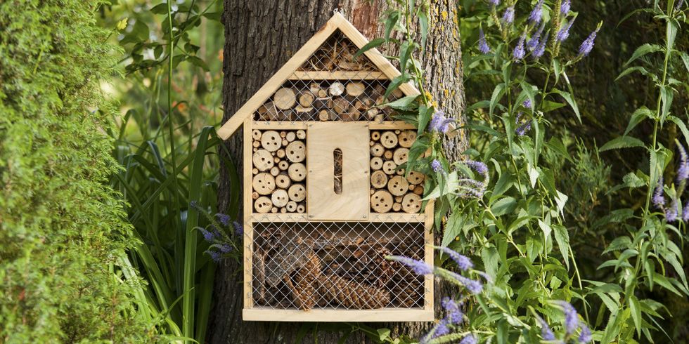 How to Bring Wildlife Into Your Garden