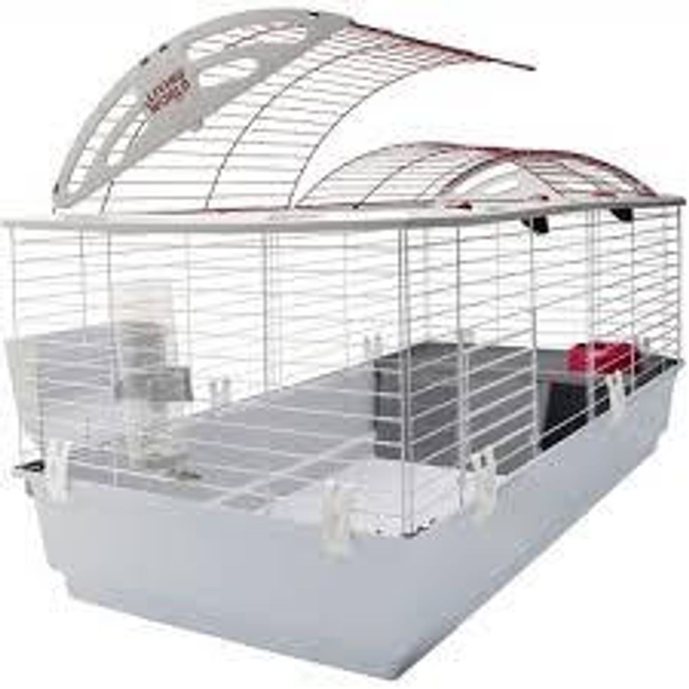 Baby Proofing Your Guinea Pigs Cage