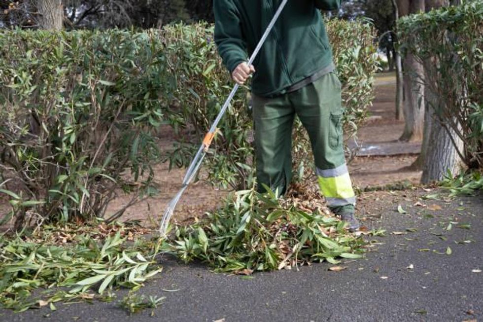 How to do the best gardening in January