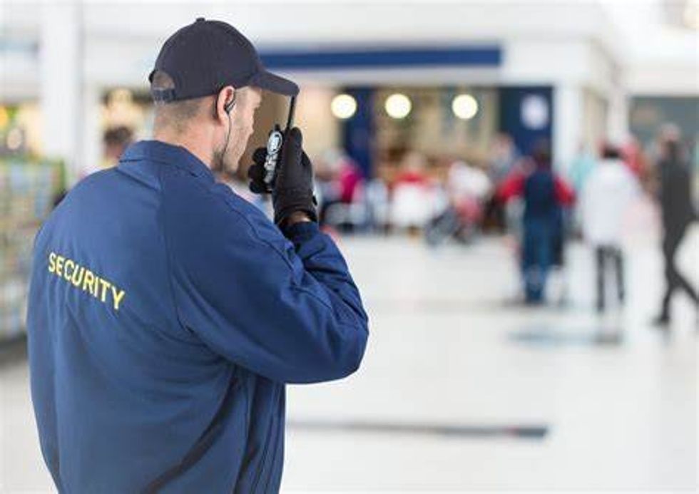 The Importance of Hiring Professional Security Guard Services