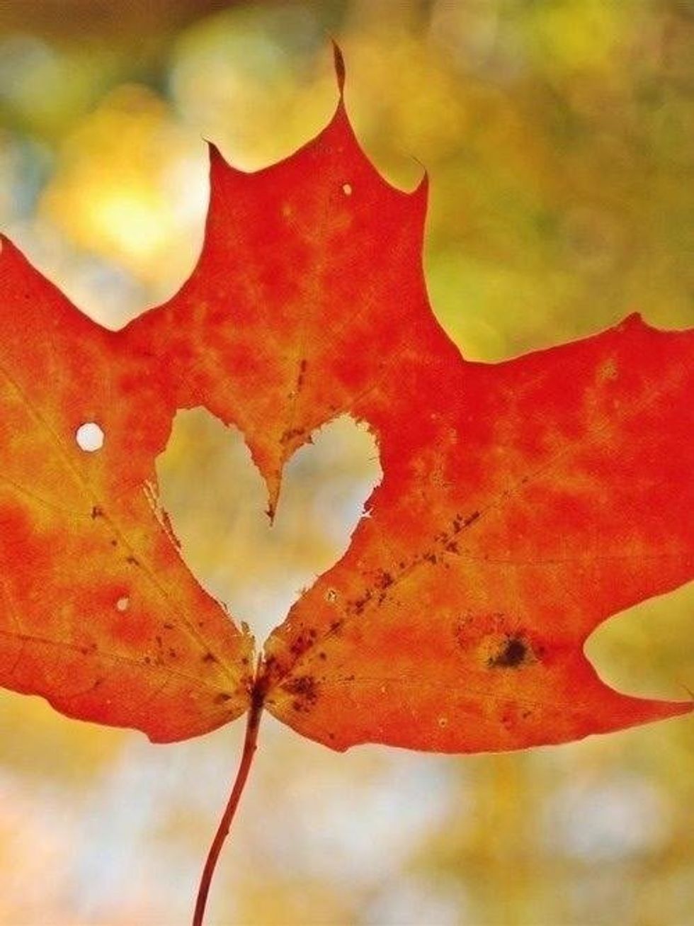 Fall In Love With This Fall Playlist!