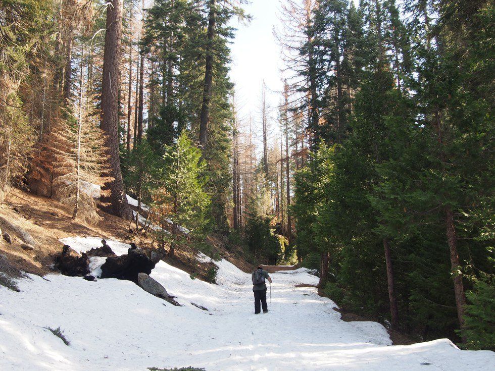 22 Hiking Tips From That Weird Girl Who Lives In The Woods