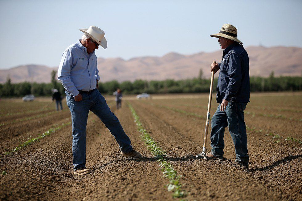 How Non-GMO Label Is Dividing Us