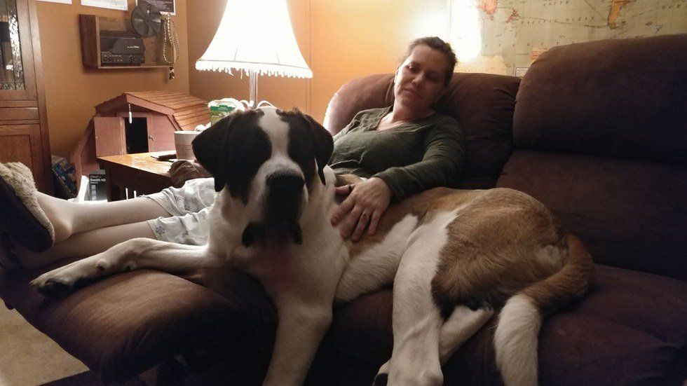 9 Reasons Big Dogs Are the Best Dogs